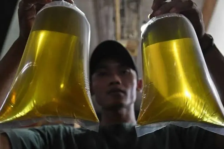 Beli Minyak Goreng Pakai Aplikasi PeduliLindungi, Bagaimana yang Tak Punya Ponsel?