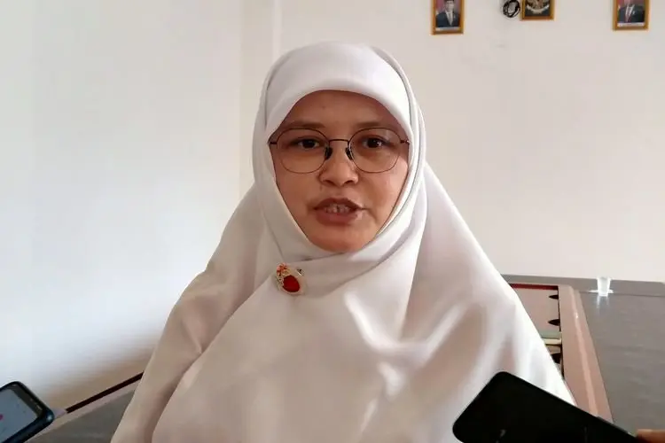 PLTU Patuha 2 di Kab Bandung, Bakal Jadi Beban Baru bagi PLN