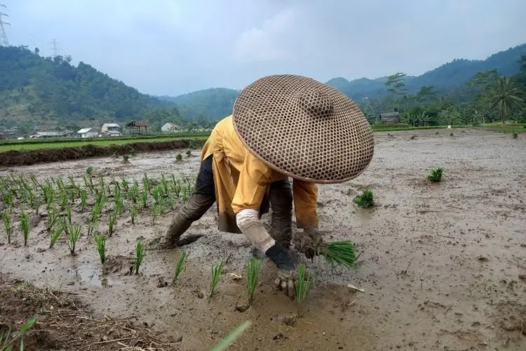Beragam Bantuan Diterima Para Petani Korban Banjir Bandang Leuwiliang, Ini Jenisnya