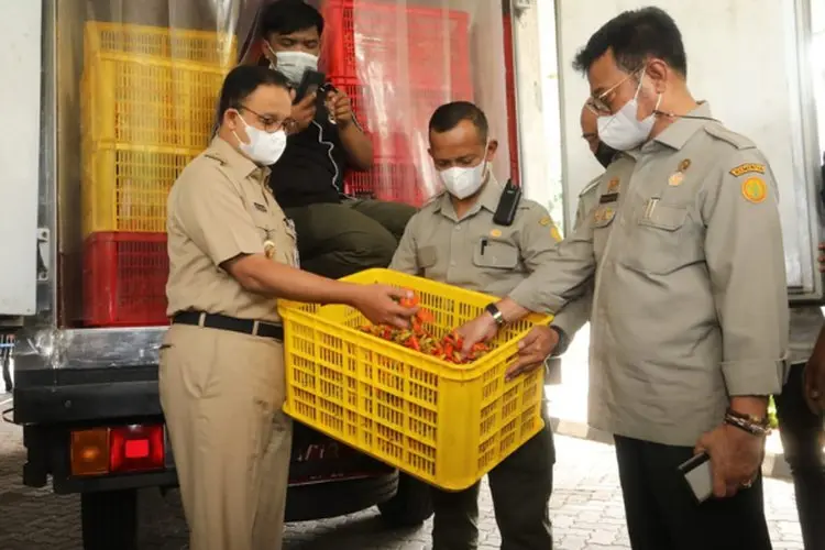 Jelang Idul Adha, Kementan Siapkan Kebutuhan Pangan di Wilayah DKI Jakarta