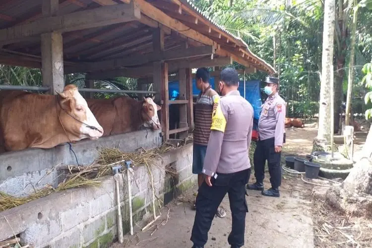Jelang Idul Adha, Polisi Gelar Pemeriksaan Kendaraan Ternak