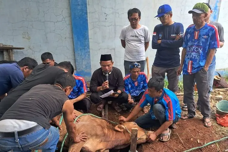 Bagikan Daging Qurban, Partai Demokrat Kabupaten Bogor Pastikan Bersih dari Wabah PMK
