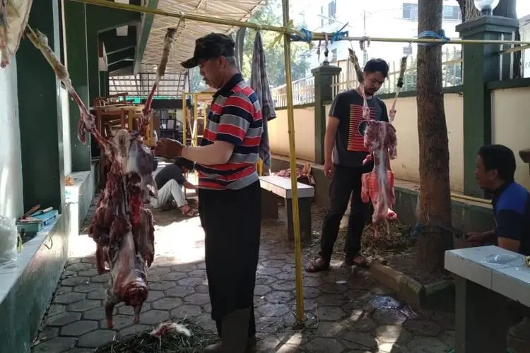Pemkot Bandung Musnahkan 369 kg Jeroan Hewan Kurban