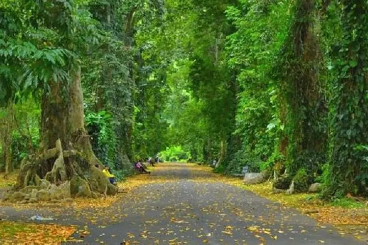 Libur Sekolah, Ini Rekomendasi Tempat Wisata di Jawa Barat