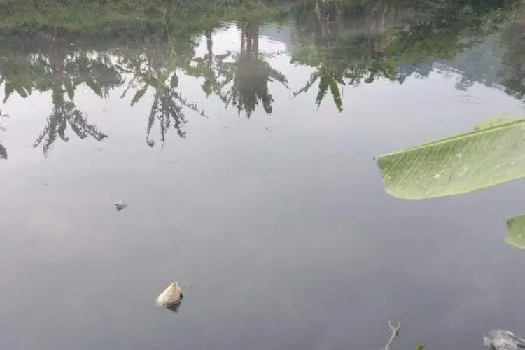 Warna Air di Situ Ciburuy Mendadak Hitam, Warga Sebut Kena Penyakit Gatal-gatal 
