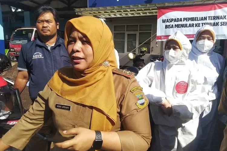 Kasus PMK Nol Kasus, Dispernakan Ungkap Datanya