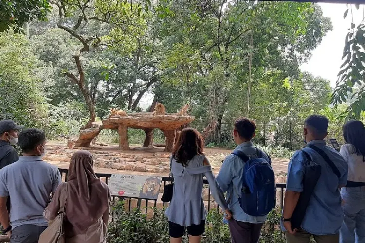Hari Singa Sedunia, Bandung Zoo Ramai Dipadati Pengunjung