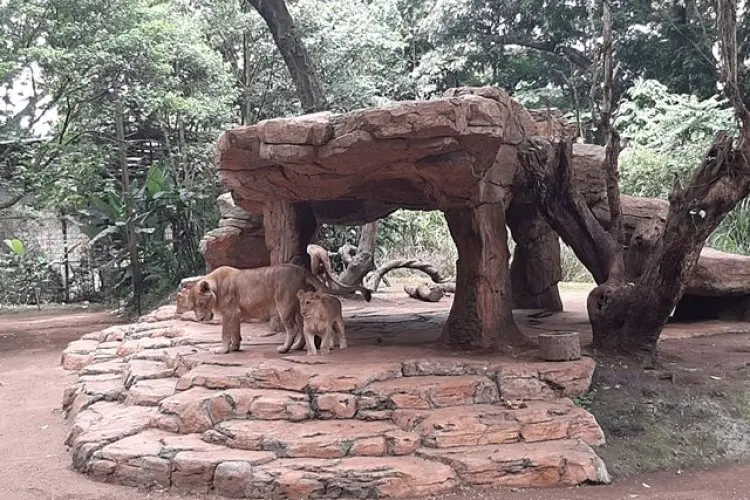 Ini Komitmen Pengelola Bandung Zoo Sebagai Lembaga Konservasi