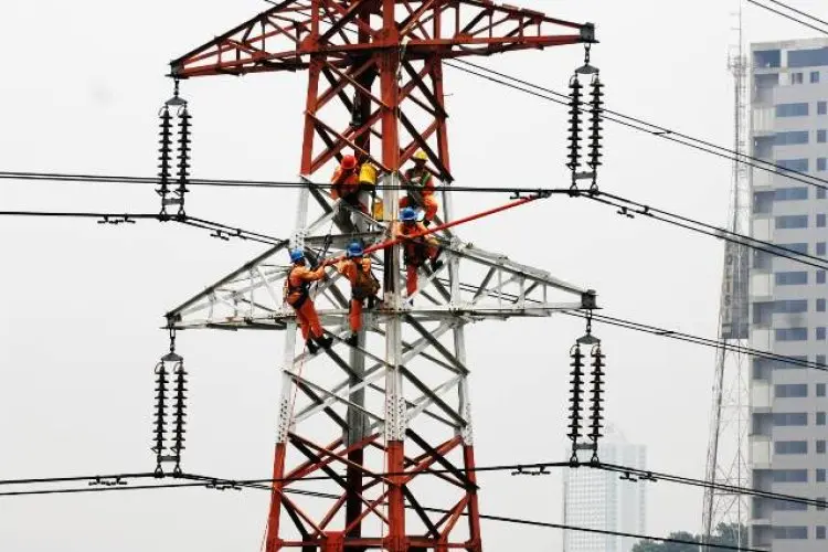 Transformasi Bisnis Perkuat PLN Hadapi Tantangan Global