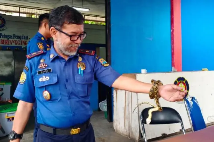 Mengungkap Sisi Lain Tugas Damkar KBB, Tak Hanya Sebagai Penjinak Api Tapi Harus Bisa Lakukan Ini