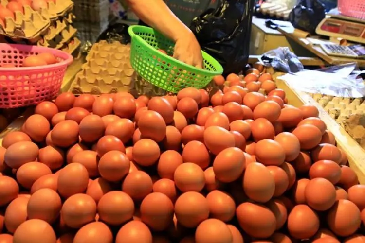 Produksi Melimpah, Harga Telur dan Daging Ayam Anjlok, Pemprov Jabar Siap Intervensi