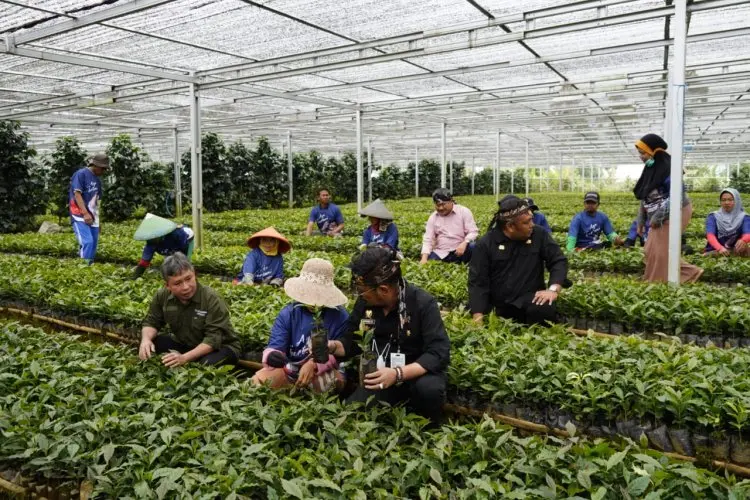 Ketemu Menteri Pertanian,  Rudy Gunawan Minta Agar Kabupaten Garut Menjadi Pusat Pembibitan Benih Kopi Bersertifikat