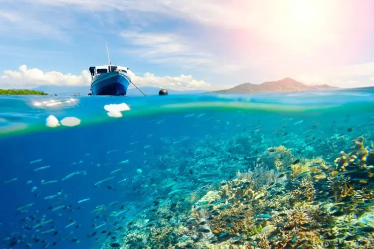 Enam Wisata Alam Bakal Membuat Anda Jatuh Cinta dengan Indonesia