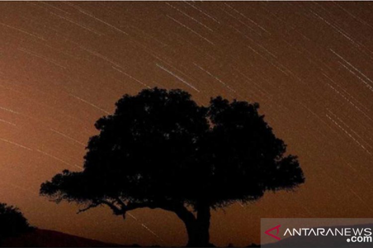 Fenomena Baru Hujan Meteor Terbungsu Terlihat di Pekan Kedua Oktober, Begini Penjelasan Peneliti
