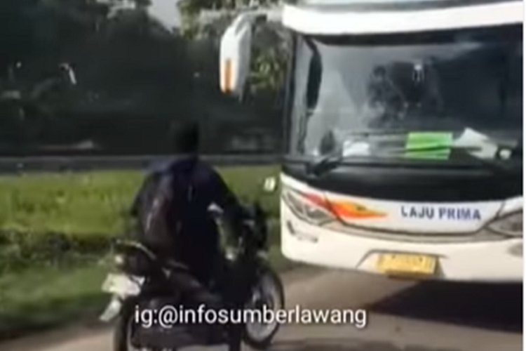 Viral Pemotor Hadang Bus yang Lawan Arah, Netizen: Tampan dan Pemberani