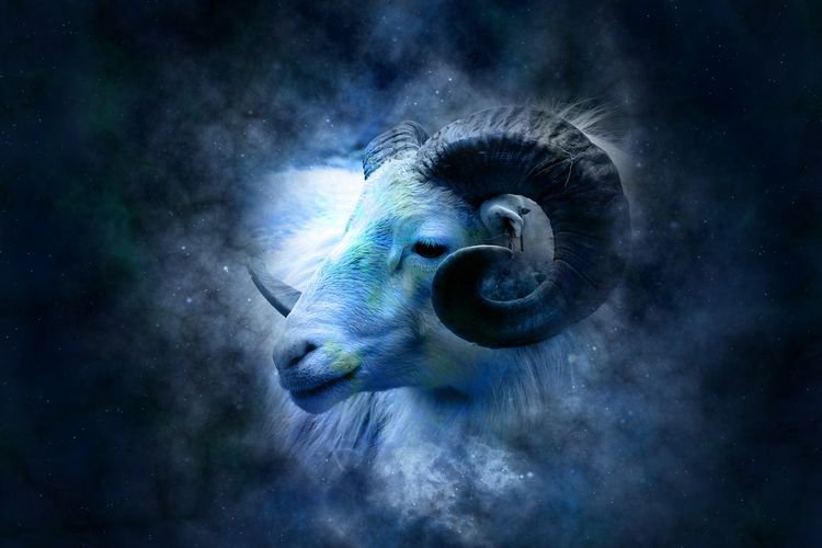 Ramalan Zodiak  14 Mei 2022: Taurus Kamu Perlu Berbelanja Hari Ini