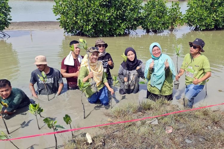 Fisip UMC dan PT Telkom Indonesia Tanam Lima Ribu Mangrove di Kali Betik dan Kali Anyar Losari