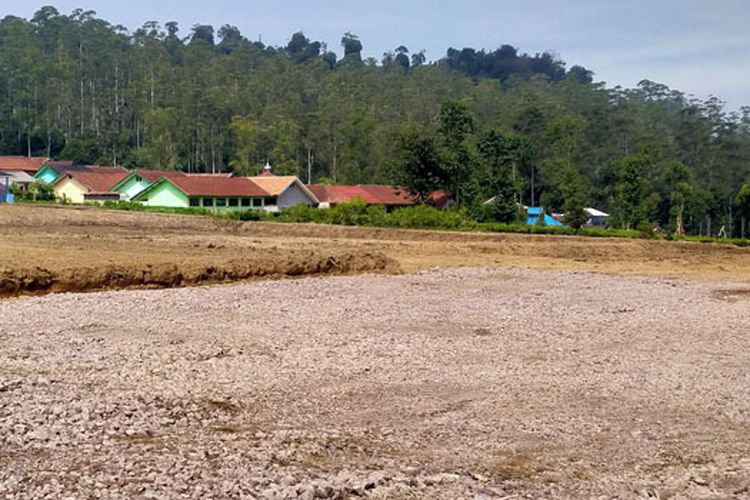 PTPN VIII Bantah Lakukan Alih Fungsi Lahan Tanaman Teh Tanpa Izin di Rancabali Kabupaten Bandung
