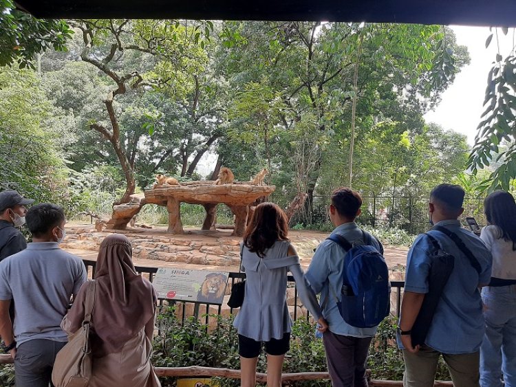 Hari Singa Sedunia, Bandung Zoo Ramai Dipadati Pengunjung
