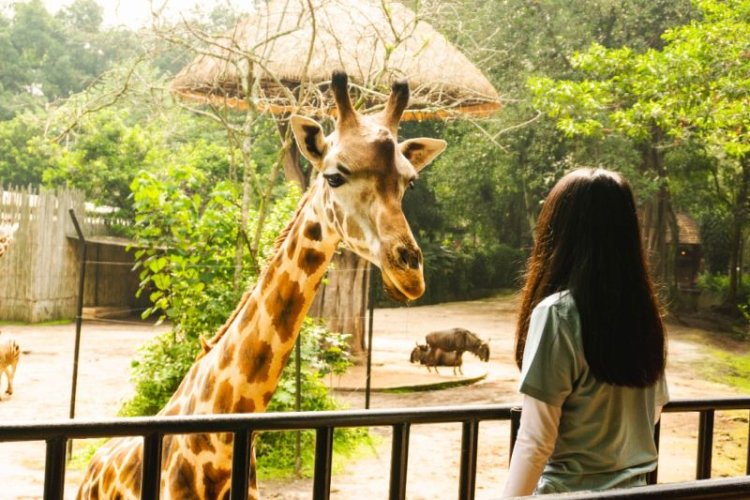 Peringati HUT RI Ke-77 Masuk Bandung Zoo Digratiskan!! Ini Syaratnya