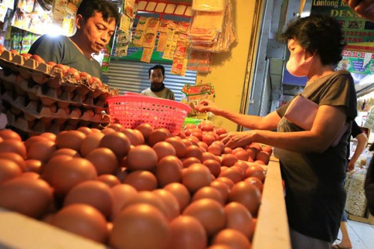 FOTO: Harga Telur Ayam Naik