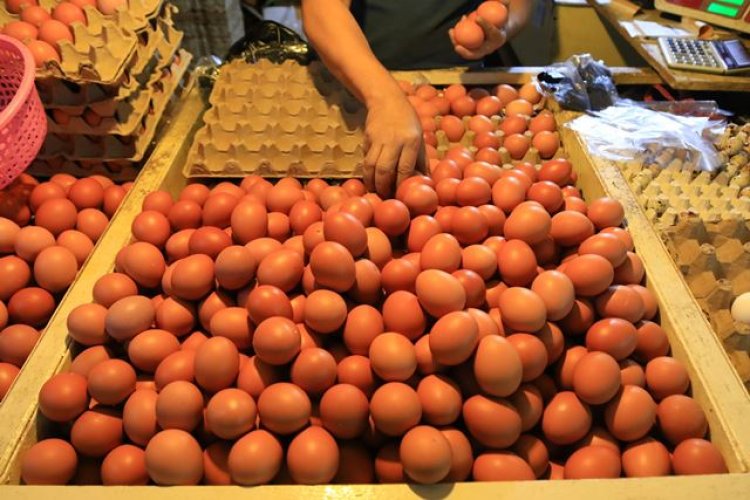 Kenaikan BBM Masih Wacana, Di Jabar Hanya Harga Telur yang Masih Tinggi