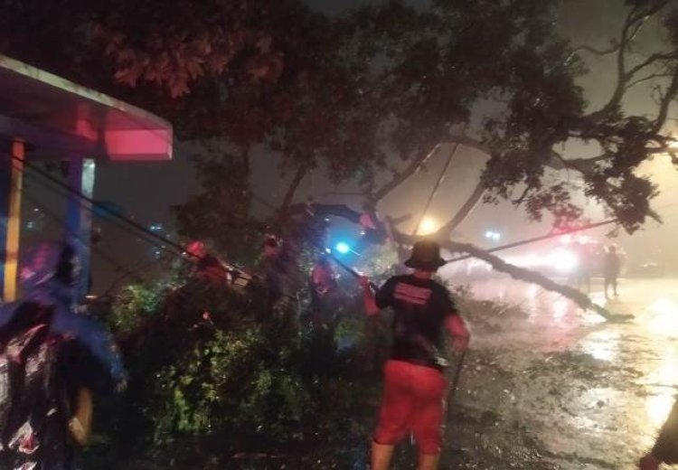 Hujan Deras dan Angin Kencang, 25 Bencana Terjadi di Kota Bogor Dalam Semalam
