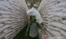 Realisasi Penyaluran Pupuk Bersubsidi di Jabar Capai 402.715 ton