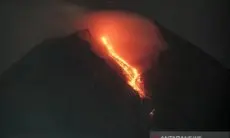 BPPTKG: Gunung Merapi 13 kali luncurkan guguran lava selama sepekan