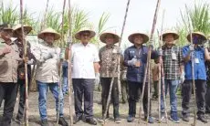 Wujudkan Swasembada Gula Nasional, Perhutani Manfaatkan Hutan