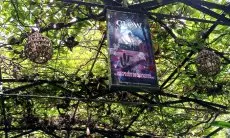 Forkopimda Kota Bogor Sepakat Wisata Glow KRB Ditutup