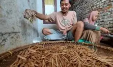 Bermodalkan Kemauan dan Kreativitas, Pemuda Pengangguran di Cimahi Sulap Kulit Singkong Jadi Cuan