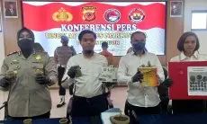 Kecanduan, RAT Ditangkap Polisi karena Menanam Ganja