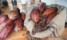 Cokelat Masih Mendominasi Rasa Camilan di Indonesia
