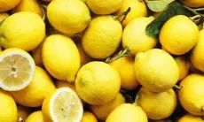 Petani Jeruk California Lembang Minta Pemerintah Turun Tangan Stabilkan Harga