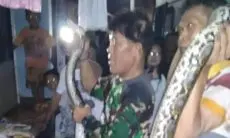Bravo! Damkar Kota Bogor Evakuasi Ular Sanca 6 Meter di Saluran Air Pemukiman Warga Sukasari 