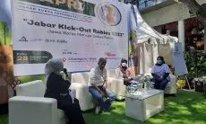 Pemprov Ajak Pemilik Hewan Cegah Rabies