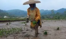 Pemkab Bogor Klaim Bagi Hasil Pajak 2021 Sudah Sesuai Hak dan Potensi Desa 