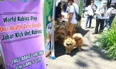 FOTO: Pemeriksaan dan Vaksinasi Rabies di Jabar Kick Out Rabies 2022