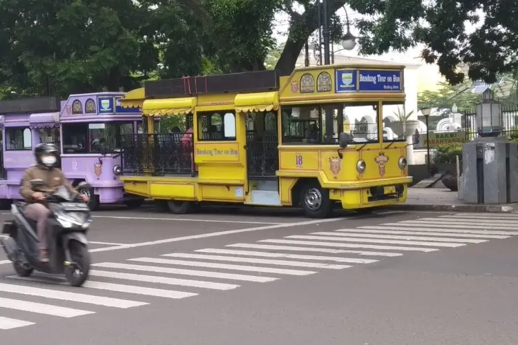Diduga Mengantuk, Bus Bandros Tabrak Pohon, Sejumlah Wisatawan Terluka