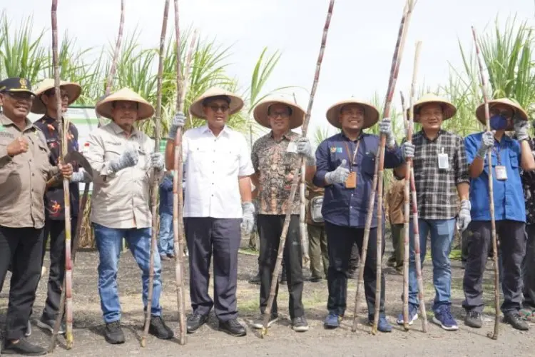 Wujudkan Swasembada Gula Nasional, Perhutani Manfaatkan Hutan