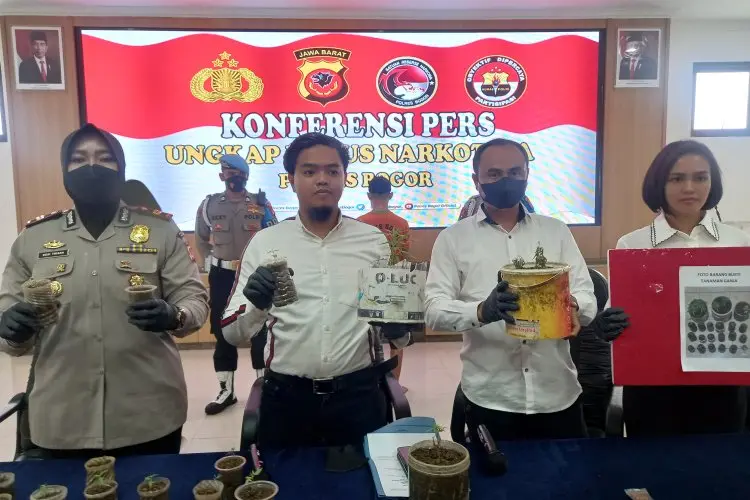 Kecanduan, RAT Ditangkap Polisi karena Menanam Ganja