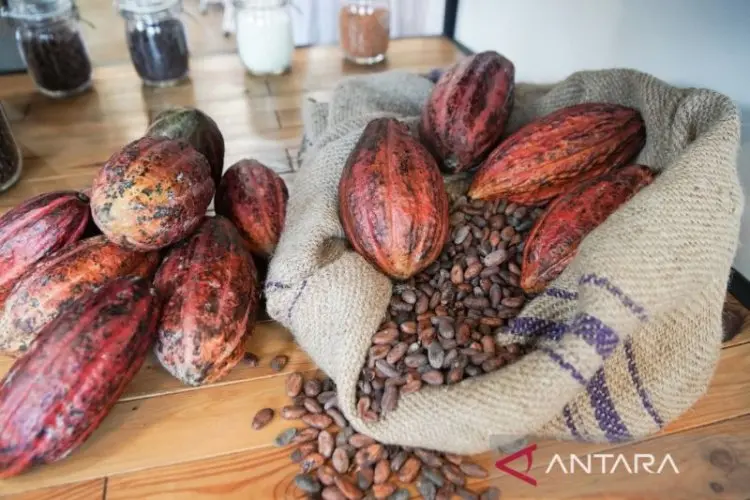 Cokelat Masih Mendominasi Rasa Camilan di Indonesia