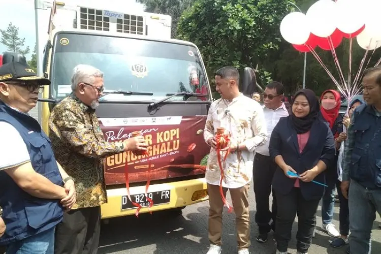Mantap! Kopi Gununghalu Kini Tembus Eropa, Amerika, dan Timur Tengah, Diekspor Mandiri Pertama Kali