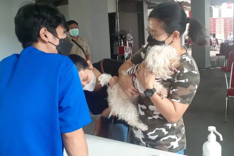 Peringati Hari Rabies, Kecamatan Bogor Timur Adakan Pemeriksaan dan Vaksinasi Hewan Gratis