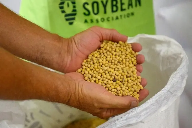 Importir Kedelai Amerika Serikat Bakal Dapatkan Sertifikat SSAP yang Bisa Dialihkan ke Konsumen