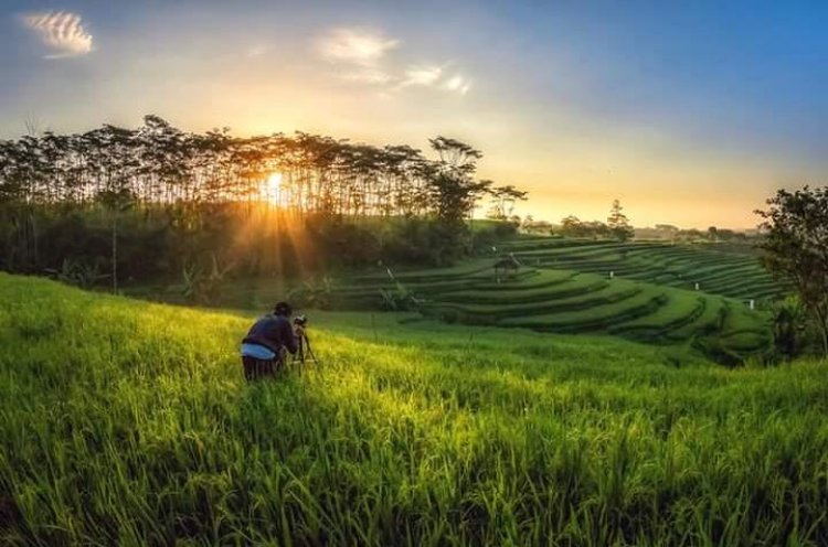 Pemkab Bandung Ajak Ormas Islam Bantu Para Petani Sayuran