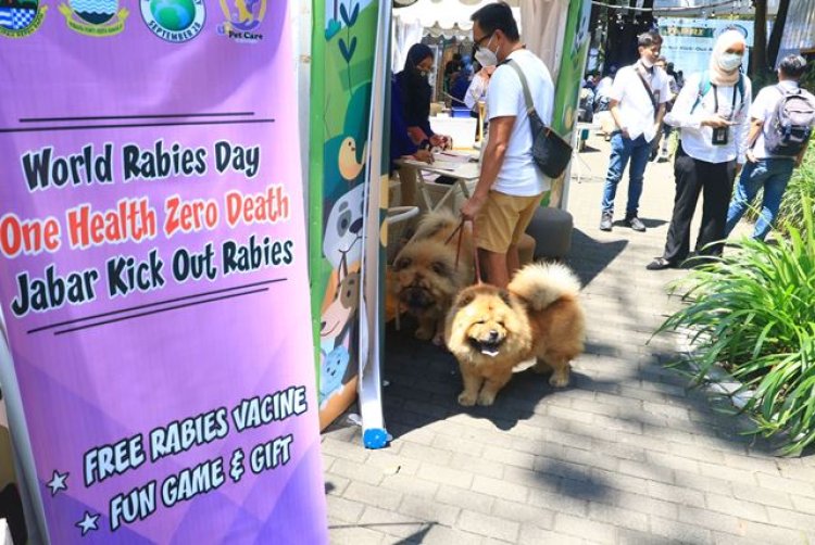 FOTO: Pemeriksaan dan Vaksinasi Rabies di Jabar Kick Out Rabies 2022