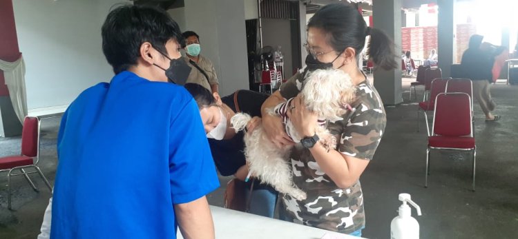 Peringati Hari Rabies, Kecamatan Bogor Timur Adakan Pemeriksaan dan Vaksinasi Hewan Gratis