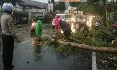 Akhir Pekan Kelam di Kabupaten Bogor, Hujan Deras Sebabkan Banjir dan Tanah Longsor